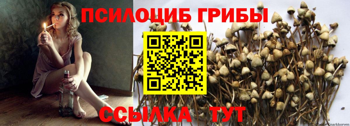 наркотики  Вход с VPN  Сургут  Галлюциногенные грибы мицелий 
